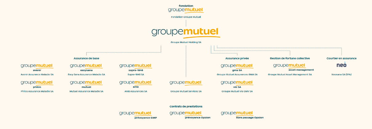 Structure du Groupe Mutuel 